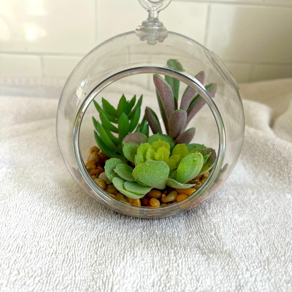 Faux succulent terrariums
